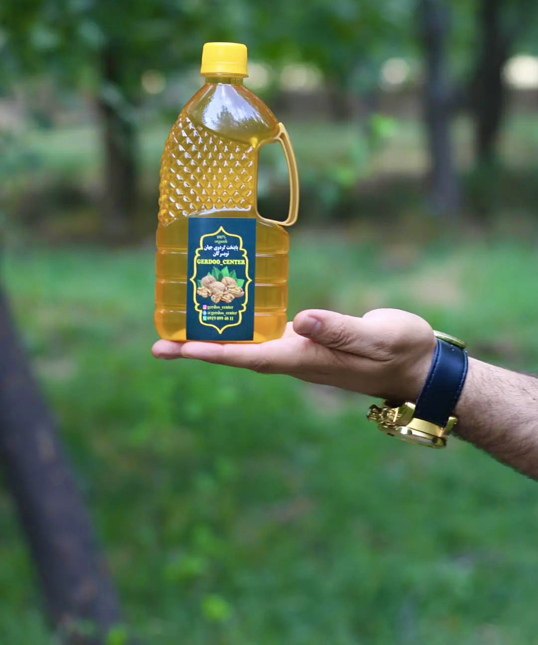 روغن گردو بمب امگا 3