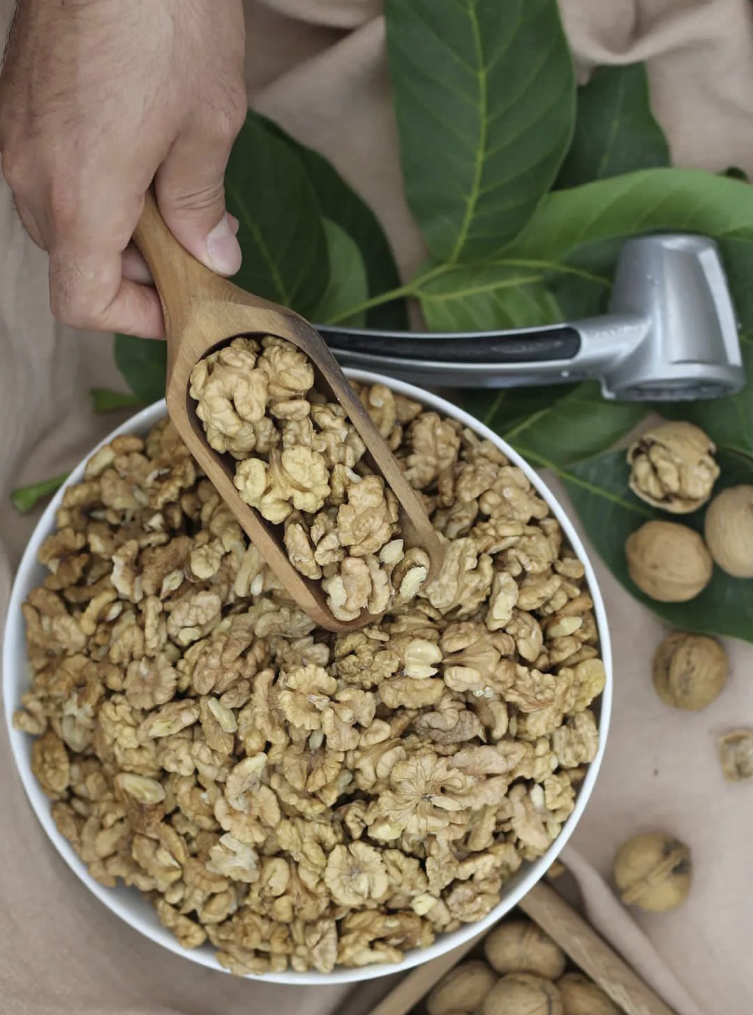 مغز گردوی ممتاز (دوپر و تک پر)