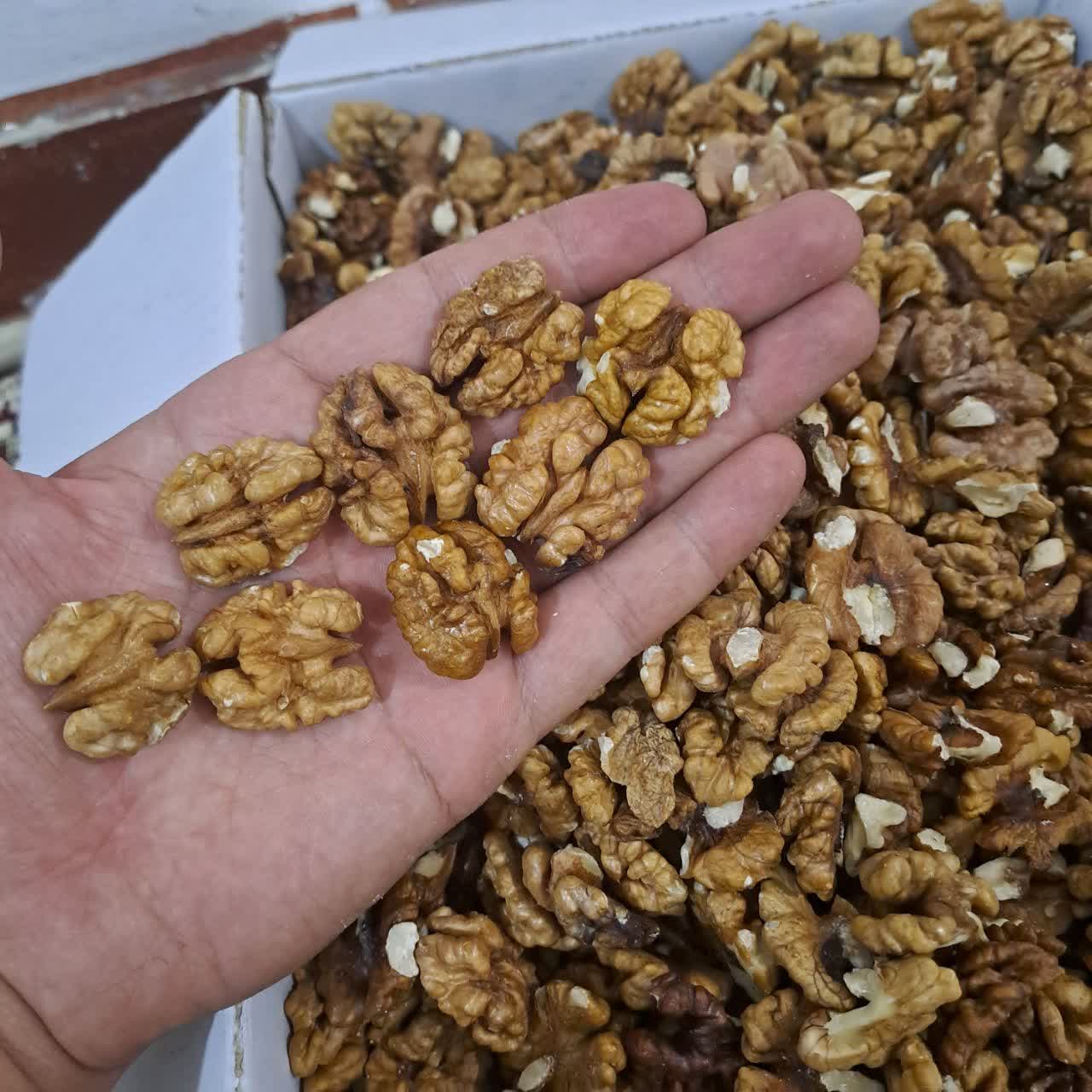 مغز گردوی صبحانه (اقتصادی)